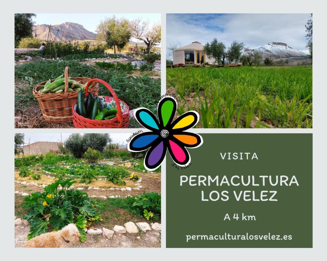 La Casa Viva. Alojamiento Responsable Y Sostenible. Vélez Blanco エクステリア 写真